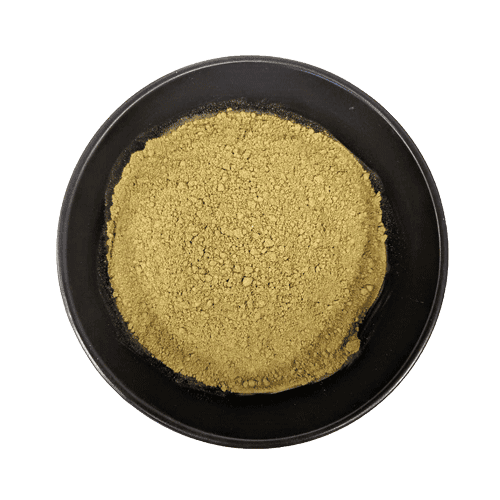 Bowl of green vein kratom powder popular with Edmonton customers