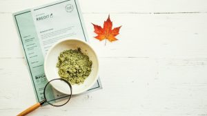 Kratom Active 28 Kratom powder, a lab certificate and a maple leaf — Canadian kratom buyer's guide to legality and quality